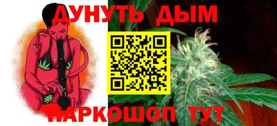 дмт Новозыбков