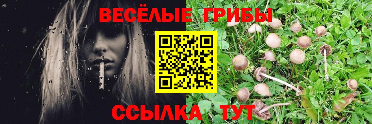 Псилоцибиновые грибы GOLDEN TEACHER Спасск-Дальний